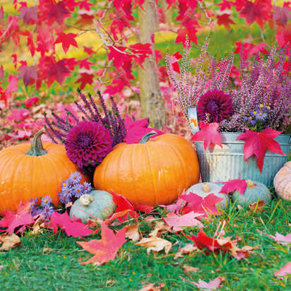 prospekt oktober bubblenavi s1 412x412